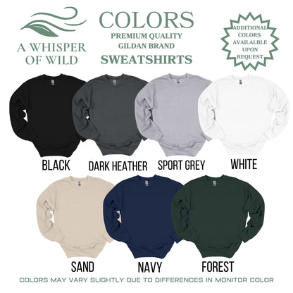 Display of sweatshirts in various colors with brand names and color labels.