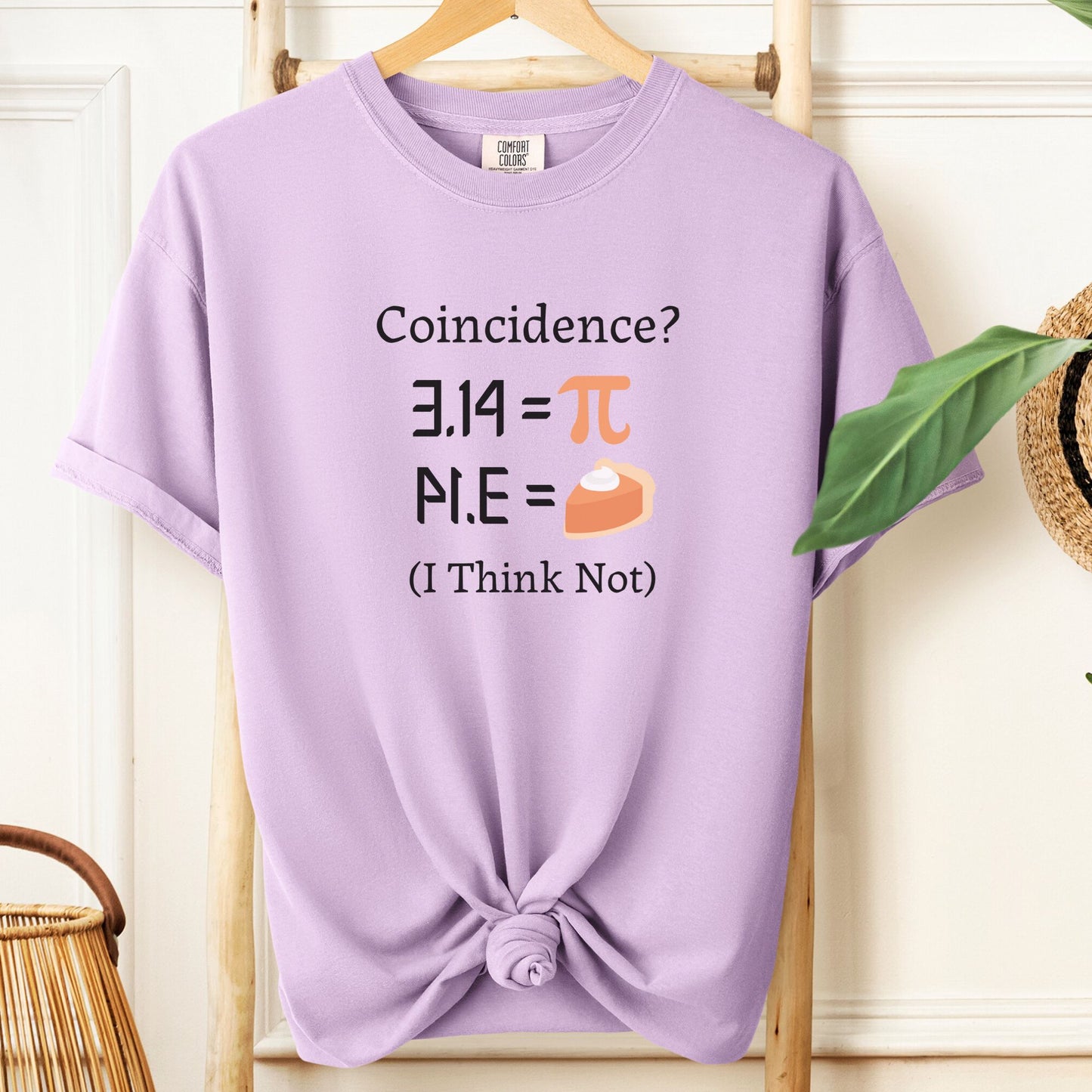 Funny Math Teacher T-Shirt - PI Coincidence, MT008