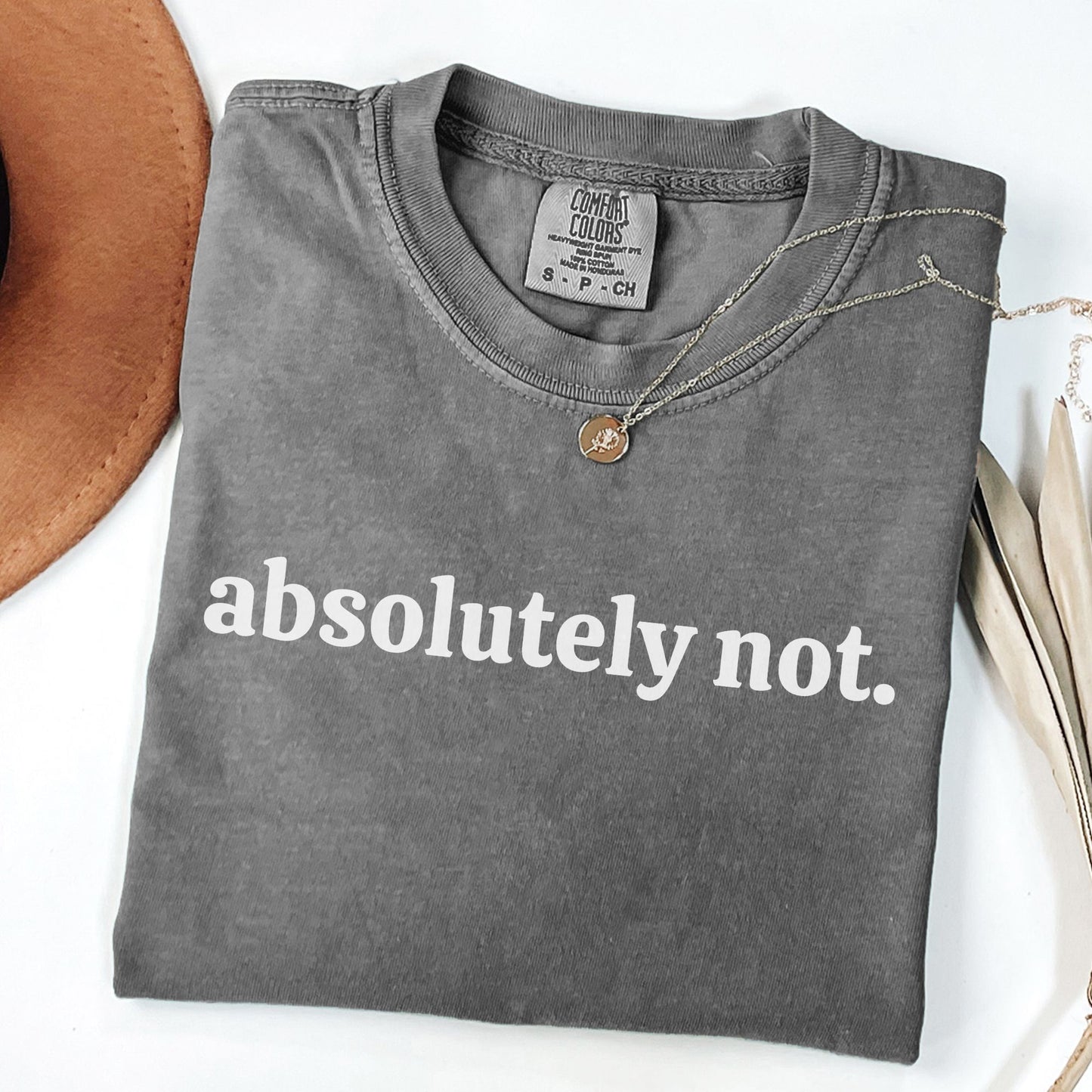 Funny Teacher Shirt, Absolutely Not TE027